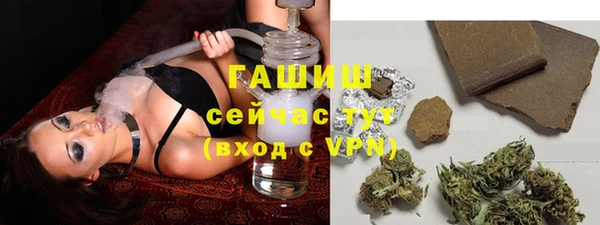 apvp Алзамай