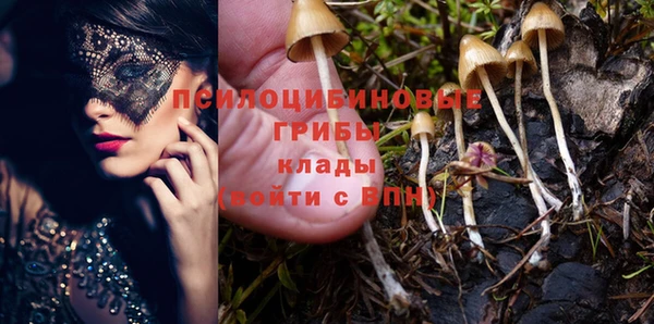 apvp Алзамай