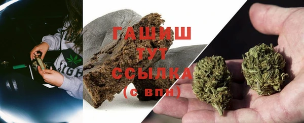 apvp Алзамай