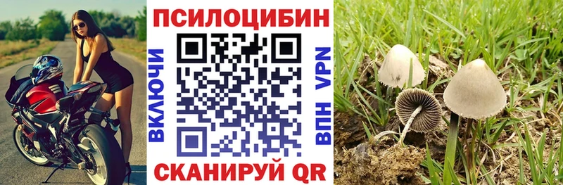 ссылка на мегу сайт цены наркотик Любань Псилоцибиновые грибы GOLDEN TEACHER